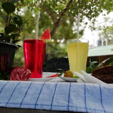 Sigiri La Veranda Lodge Kibissa 外观 照片