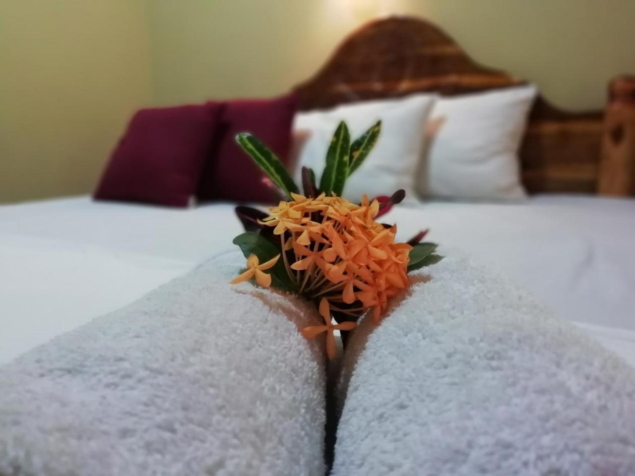 Sigiri La Veranda Lodge Kibissa 外观 照片